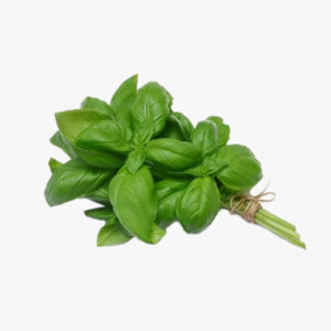 Basilic 100g