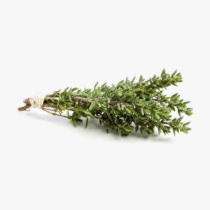 Thym 100g